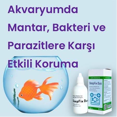 Colin DeepFix ve DeepFix Duo ile Akvaryum Balıklarında Mantar, Bakteri ve Parazitlere Karşı Etkili K