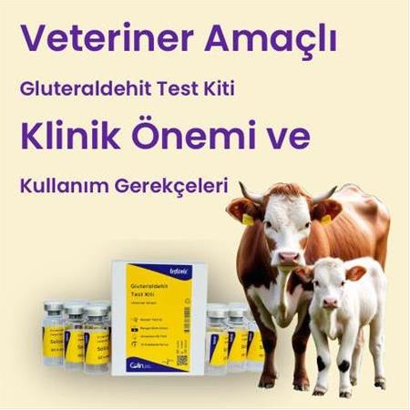 Gluteraldehit Test Kiti (Veteriner Amaçlı) – Klinik Önemi ve Kullanım Gerekçesi