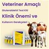 Gluteraldehit Test Kiti (Veteriner Amaçlı) – Klinik Önemi ve Kullanım Gerekçesi