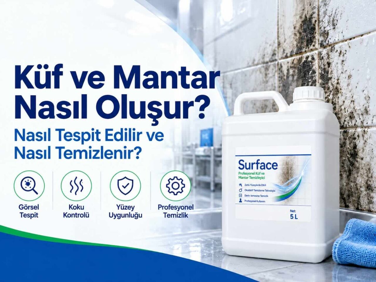 Küf ve Mantar Nasıl Oluşur, Nasıl Tespit Edilir ve Nasıl Temizlenir?
